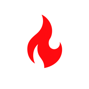Reisigbrand